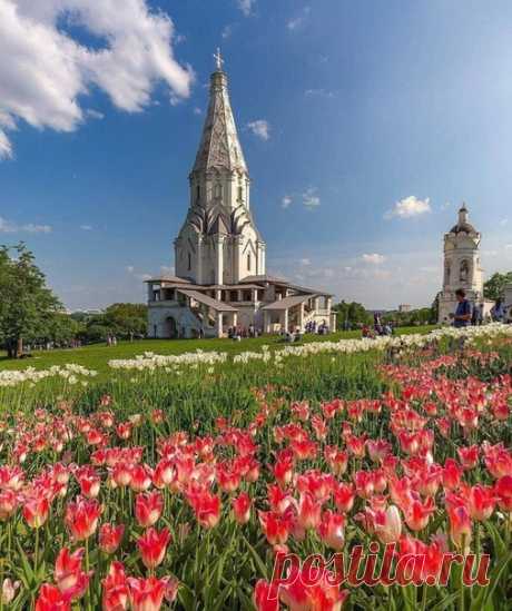 Коломенское прекрасно в любое время года

#фото@mosc1