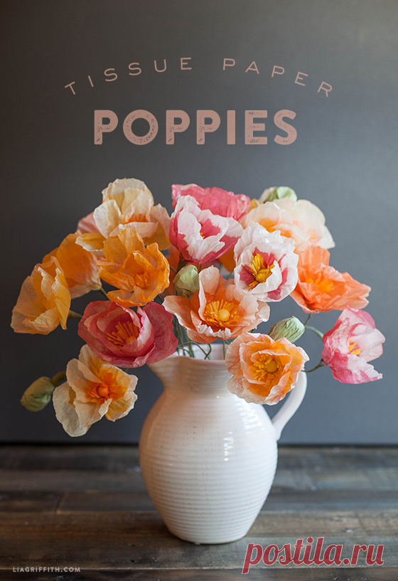 Make These Gorgeous Tissue Paper Poppies