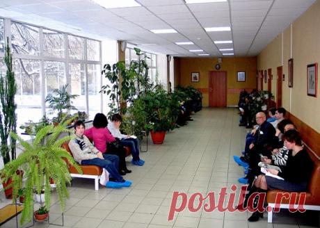 Что делать, если в поликлинике говорят: «Талонов НЕТ!» - Новости Воронежа - МОЁ! Online