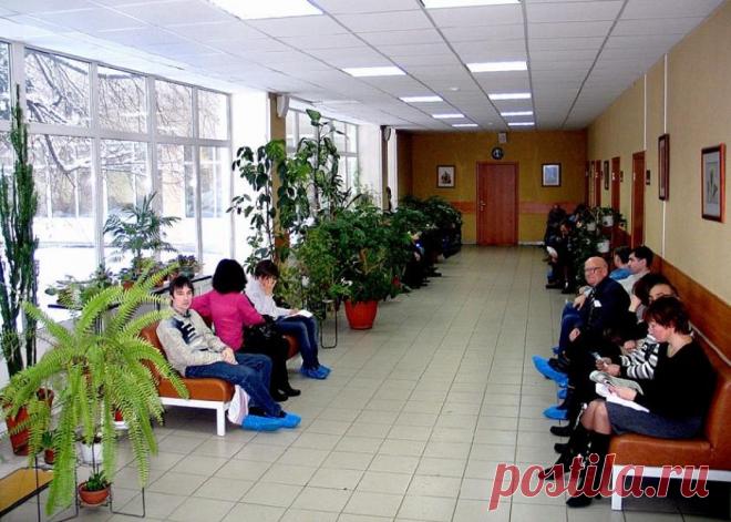 Что делать, если в поликлинике говорят: «Талонов НЕТ!» - Новости Воронежа - МОЁ! Online