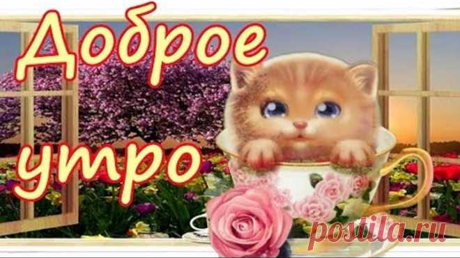 ДОБРОЕ УТРО! Музыкальная видео открытка Пожелание с Добрым Утром!