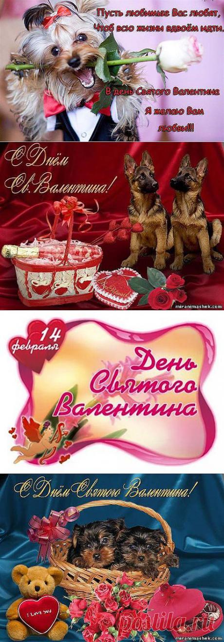 (48) Одноклассники