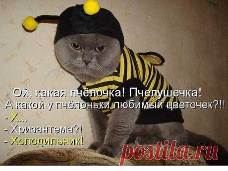 Мой Мир@Mail.Ru