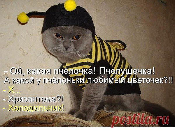 Мой Мир@Mail.Ru