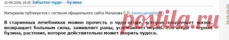 Забытое чудо – бузина » Конспекты Малахов+