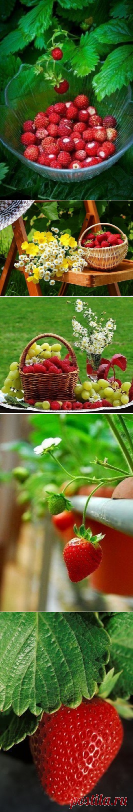 Наталия Сбитнева