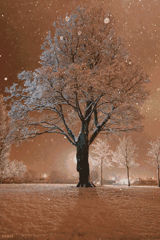 Antonio Garrido Garcia – Google+