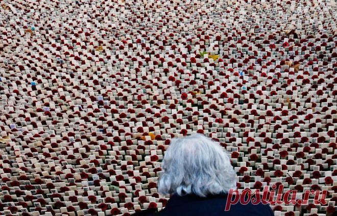 День Ветеранов, День перемирия, День памяти и День Мака у них... - Выживи сам&nbsp; &nbsp;Выживи сам