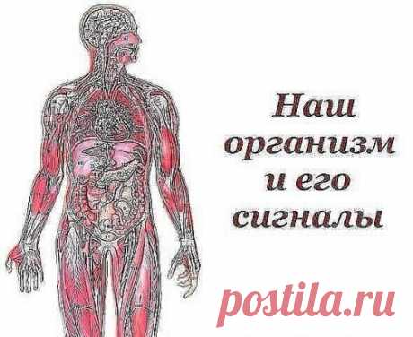 ~~~ Вот такую ПАМЯТКУ надо иметь у себя под рукой всегда, ДеЛюСь ею с вами, уносите себе на странички→↓ ~~~
°•○●Наш организм и его сигналы.●○•°
Врачи уверены, что в нашем организме «вдруг» ничего не бывает. 
И даже малейшие изменения в нашей внешности утром говорят о том, что со здоровьем что-то пошло не так… 
Мало кто из нас подвергается регулярному медосмотру. Но предупредительные сигналы организма о начинающихся неполадках мы можем рассмотреть сами на открытых участках собственного тела.
•