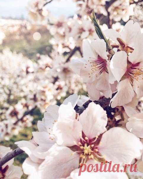 Туризм, отдых и путешествия