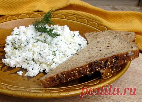 ЖАЖИК - FOOD FOR SOUL