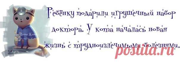 Прикольные фразочки в картинках