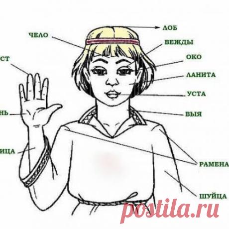 Ваше мнение