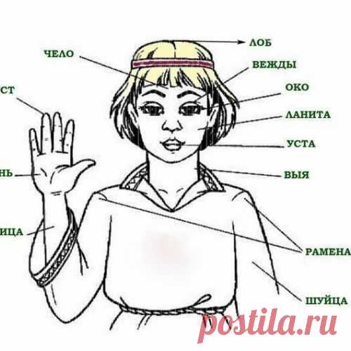 Ваше мнение
