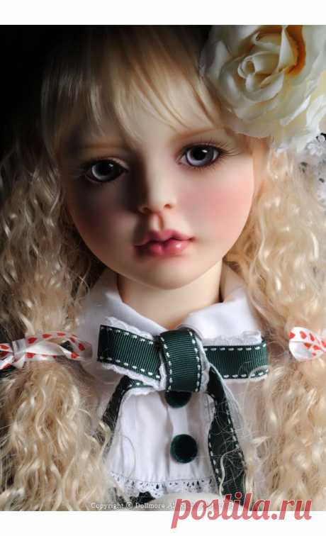 Dollmore.net :: Everything for Doll &amp; more