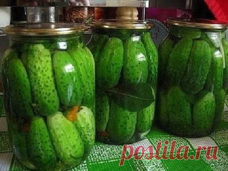 Как я консервирую огурцы, которые никогда не взрываются!
Старинный рецепт моей семьи.