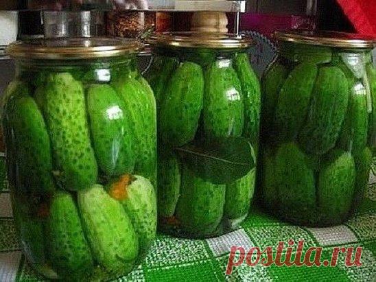 Как я консервирую огурцы, которые никогда не взрываются!
Старинный рецепт моей семьи.
Этот рецепт огурцов кажется немного странным, но огурцы закрученные таким способом никогда не взрываются. Более того, не надо НИЧЕГО стерилизовать и кипятить!
1. Нам понадобятся свежесобранные огурцы, если нет – замачиваем их на 4-6 часов в холодной воде для хруста.
2. Подготавливаем банки. Моем тщательно с чистящим средством, переворачиваем и ставим на чистое полотенце.
3. К моменту консервирования банки до