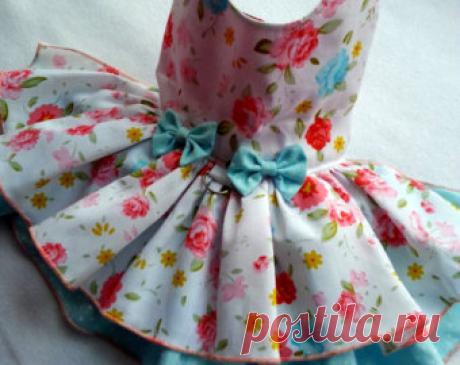 chiwawa kleidung schnittmuster - Google-Suche