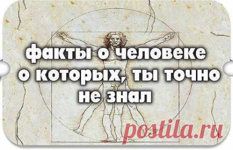 УДИВИТЕЛЬНЫЕ ФАКТЫ О ВАШЕМ ТЕЛЕ

Человек - самое умное, хитрое и наглое создание на Земле. Немного интересных фактов о нем.

1.Hаучное название пупка - умбиликус.

2. Человек, который выкуривает пачку сигарет в день, выпивает пол-чашки смолы в год.

3. Человек - единственный представитель животного мира, способный рисовать прямые линии.

4. Длина волос на голове, отращиваемых в среднем человеком в течение жизни…
Продолжение - ok.ru/anekdotyprikoli
•••