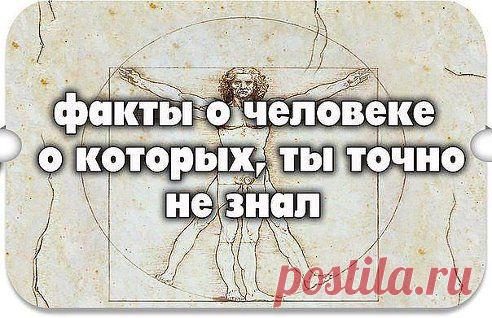 УДИВИТЕЛЬНЫЕ ФАКТЫ О ВАШЕМ ТЕЛЕ

Человек - самое умное, хитрое и наглое создание на Земле. Немного интересных фактов о нем.

1.Hаучное название пупка - умбиликус.

2. Человек, который выкуривает пачку сигарет в день, выпивает пол-чашки смолы в год.

3. Человек - единственный представитель животного мира, способный рисовать прямые линии.

4. Длина волос на голове, отращиваемых в среднем человеком в течение жизни…
Продолжение - ok.ru/anekdotyprikoli
•••