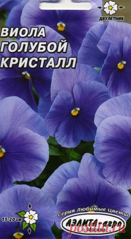 виола голубой кристалл фото - 101 картинка. Поиск Mail.Ru