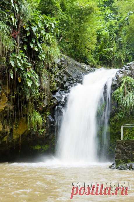 29 Пальм - Клуб путешествий Павла Аксенова > Карибы – 2013