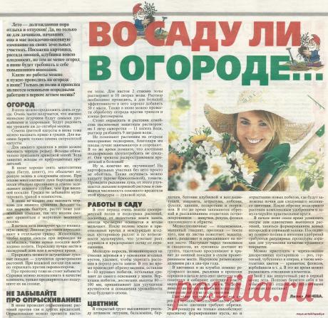 Дача. Календарь работы в июне.
