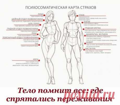 *Тело помнит все: где спрятались переживания* 
“Тело помнит все” – так звучит один из законов телесно-ориентированной психотерапии. Телом сохраняются все воспоминания и пережитые нами эмоции. Чувства и страхи, которые человек игнорирует, выливается в проблемы со здоровьем и если продолжать не обращать на них внимания – таких проблем будет прибавляться все больше. Каждая часть тела отвечает за определенные страхи человека и в зависимости от того, в каком месте возникают неприятные ощущения, можн