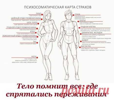 *Тело помнит все: где спрятались переживания* 
“Тело помнит все” – так звучит один из законов телесно-ориентированной психотерапии. Телом сохраняются все воспоминания и пережитые нами эмоции. Чувства и страхи, которые человек игнорирует, выливается в проблемы со здоровьем и если продолжать не обращать на них внимания – таких проблем будет прибавляться все больше. Каждая часть тела отвечает за определенные страхи человека и в зависимости от того, в каком месте возникают неприятные ощущения, можн