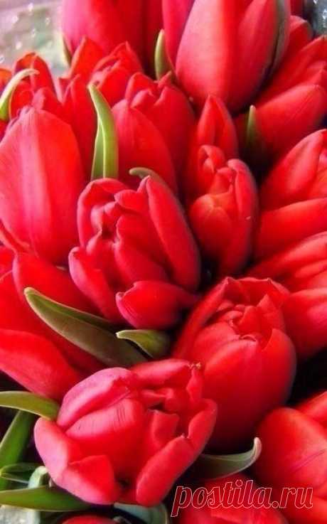 Запомните одно: Всё будет хорошо. Главное верить. / Эпоха Ручной Работы