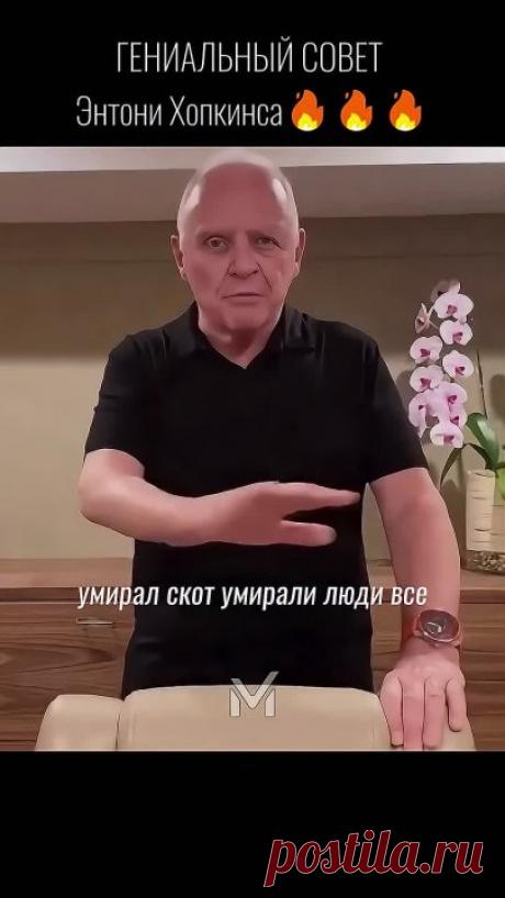 Видеозаписи Госɣдарствѣнность - Заповѣдальность