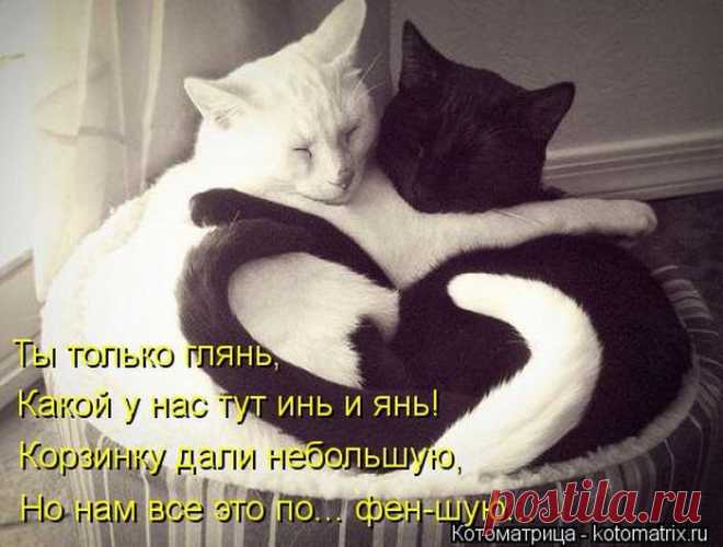 всё путём....