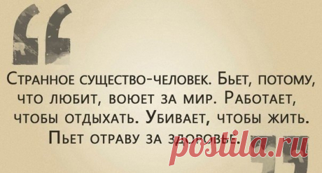 текст