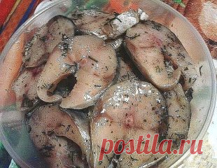 1. Самый вкусный рецепт засолки рыбы.
2. ВИДЕО - РЕЦЕПТ  Скумбрия малосольная. Простой и вкусный рецепт соленой рыбы.