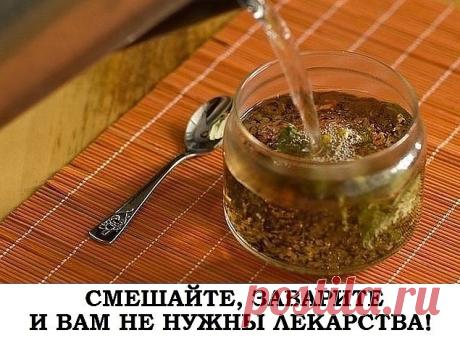 Не болеем!

Смешайте, заварите - и вам не нужны таблетки!

1. Тонизирующий и регулирующий обмен веществ чай.

Взять в равных количествах листья черной смородины, листья лесной земляники, душицу и горец птичий, залить 1-2 стаканами кипятка и настаивать в течение 4 часов, после чего напиток можно употреблять отдельно по 2 ст. л. ежедневно или же добавлять в обычный чай. Это не только улучшит вкусовые качества привычного напитка, но и наполнит его полезными для организма веще...