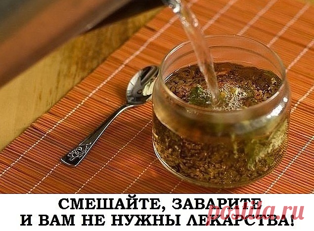 Не болеем!

Смешайте, заварите - и вам не нужны таблетки!

1. Тонизирующий и регулирующий обмен веществ чай.

Взять в равных количествах листья черной смородины, листья лесной земляники, душицу и горец птичий, залить 1-2 стаканами кипятка и настаивать в течение 4 часов, после чего напиток можно употреблять отдельно по 2 ст. л. ежедневно или же добавлять в обычный чай. Это не только улучшит вкусовые качества привычного напитка, но и наполнит его полезными для организма веще...