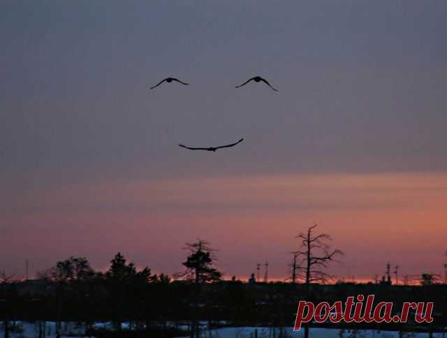 Улыбка Бога.