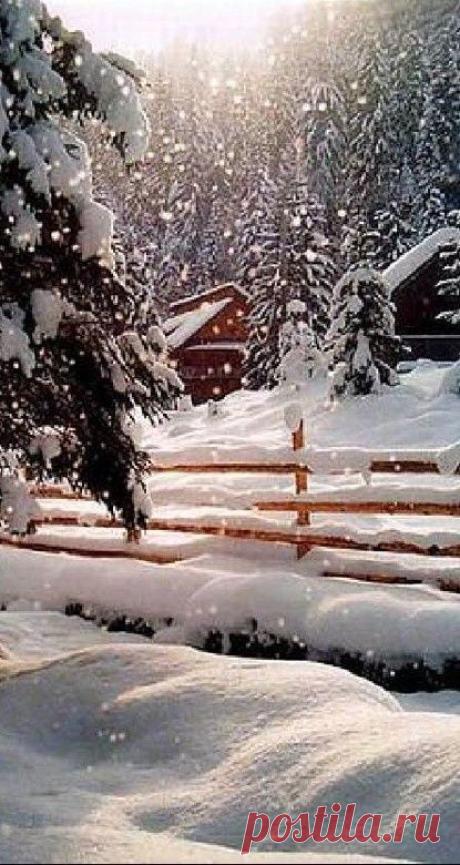 Magical Christmas Moments : Photo