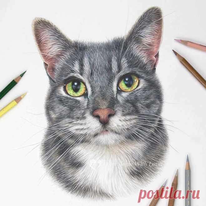 Кошачьи портреты карандашом