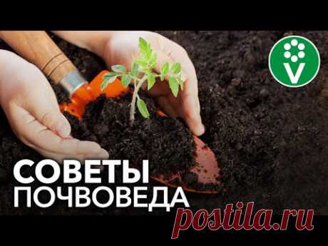 ОТЛИЧНАЯ ПОЧВА ДЛЯ РАССАДЫ! Как самому сделать грунт для рассады томатов, перцев и баклажанов