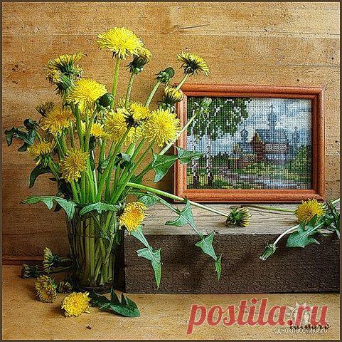 ✿*✿* ВЕРНИСАЖ *✿*✿
இڿڰۣ-ڰ Екатерина இڿڰۣ-ڰۣ