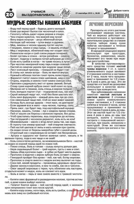 Друг пенсионера - архив
