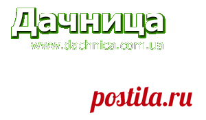Как получить хороший урожай чеснока?