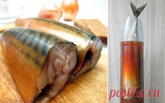 СКУМБРИЯ В БУТЫЛКЕ - настоящий деликатес! Рыбка получается вкуснее копченой!