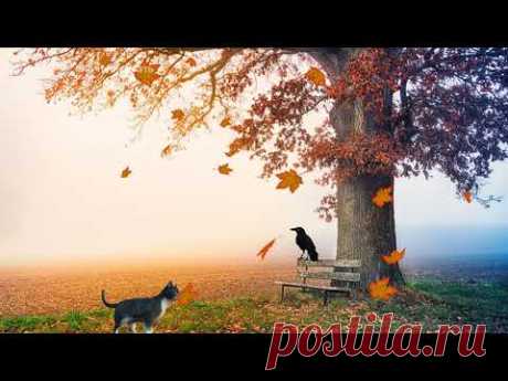 Осень, до свиданья - YouTube
