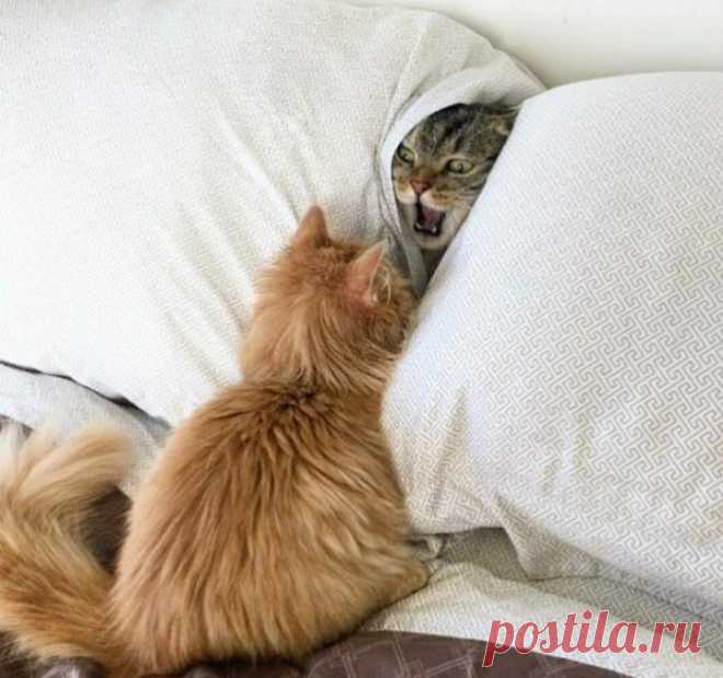 Разве не видно - занято!