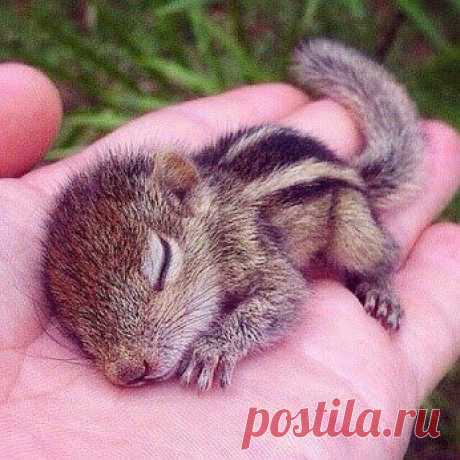 БУРУНДУЧОК!