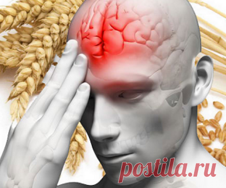 Еда и мозг: пища для здоровья и долголетия - health info