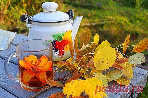 Праздники – 24 Сентября • День незапланированных безумств • Праздник законченности дел • Международный день караванщика • День Государственного флага и герба Крыма • День системного аналитика • День памяти преподобного Силуана Афонского • День Конституции - Камбоджа • День семьи, мира и согласия - Кыргызстан • День независимости - Гвинея-Бисау • Национальный день пунктуации - США • День наследия - ЮАР • День вооруженных сил - Перу • День святого Руперта - Австрия • День святой Мерседес -…