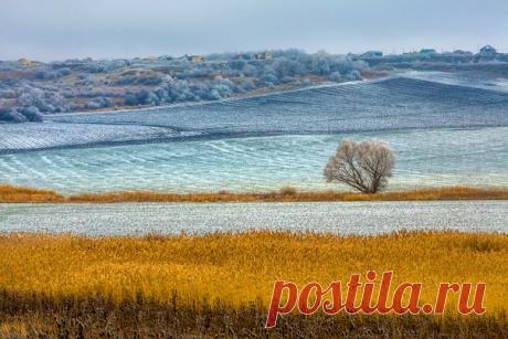 «Живопись полей». Шпаковский район, Ставропольский край. автор фото – Федор Лашков: nat-geo.ru/photo/user/27510/